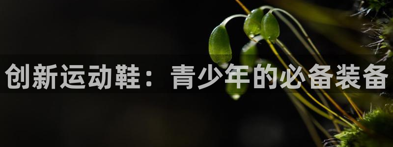 bsport必一运动