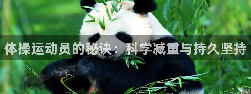 必一运动bsport体育