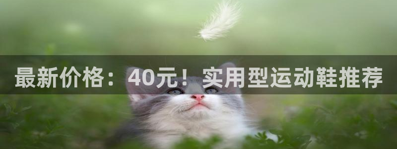 必一运动bsport体育