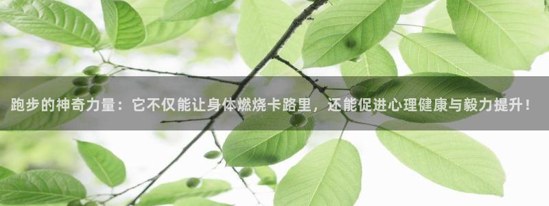 必一运动体育