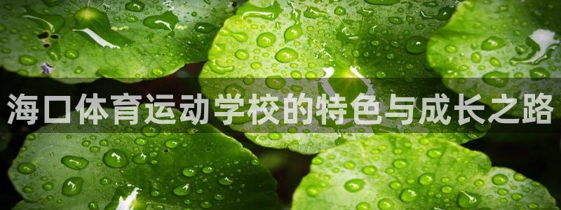 必一运动
